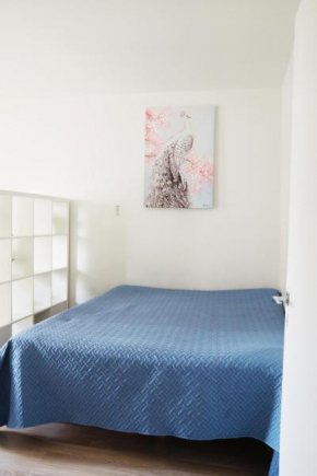 2-Room City center, parking
